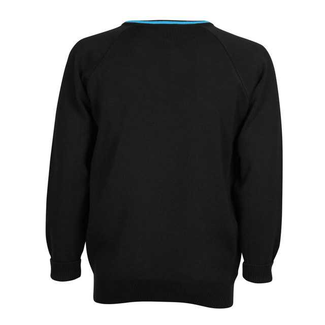 Denefield School Acrylic V-Neck Jumper with Stripe